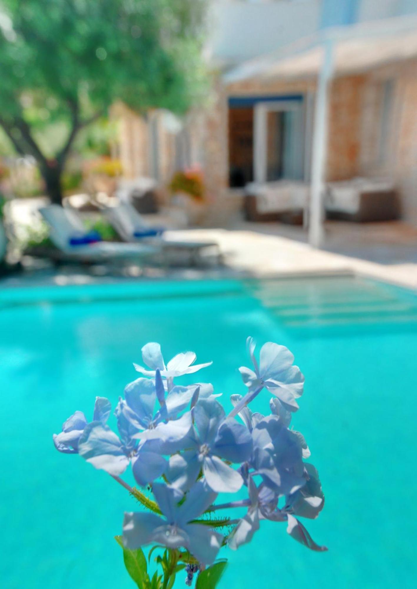Corfu Luxury Villas Barbati Habitación foto